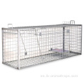 Fox Wild Boar Cage Trap a la venta